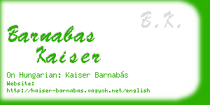 barnabas kaiser business card